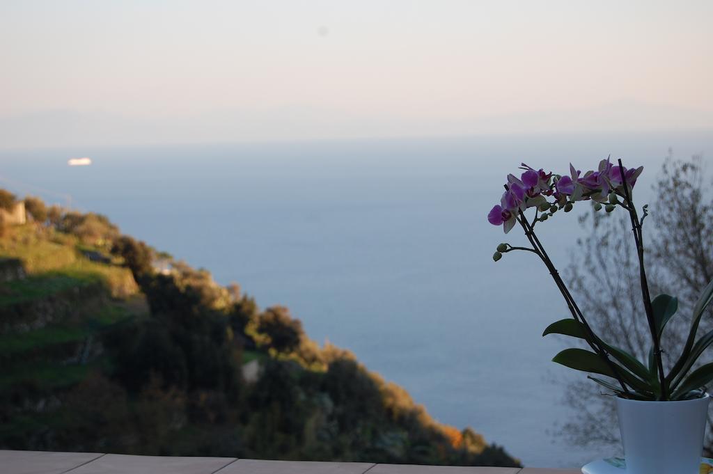 Tenuta Mamma Carmela Αμάλφι Εξωτερικό φωτογραφία