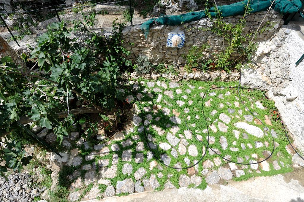 Tenuta Mamma Carmela Αμάλφι Εξωτερικό φωτογραφία